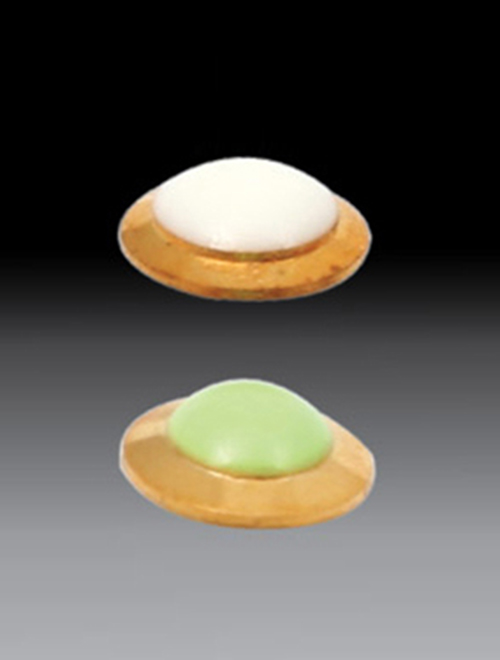 東莞特色產品